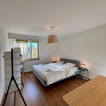 Apartment Simple And Warm On Koeschenruetistrasse Zurich